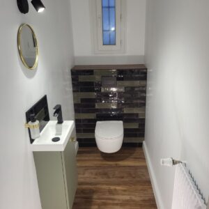 Renovation-toilette-suspendu-Vert-FG-RENOV-1.jpg